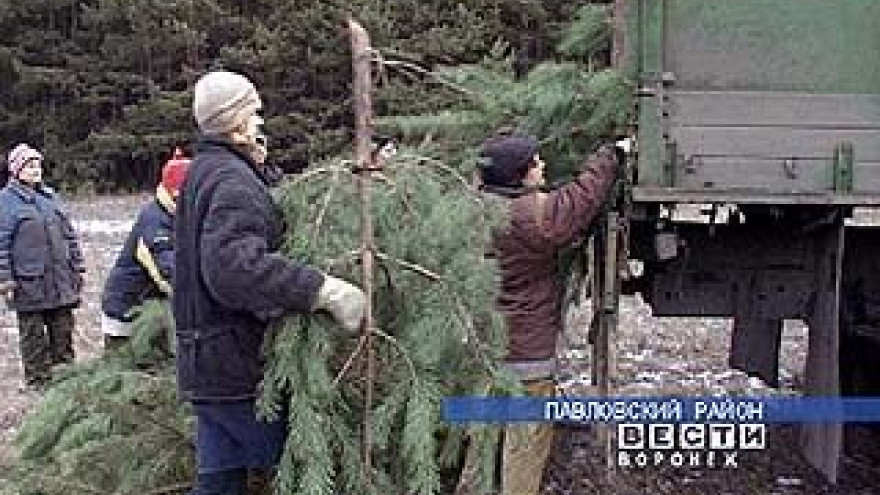 Воронежские лесники вышли в дозор