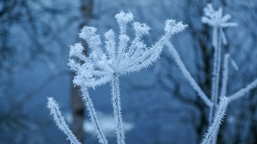 Прогноз погоды на 15.01.18