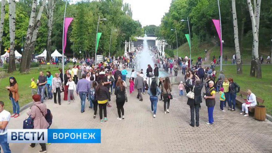 Концепцию воронежского фестиваля «Город-сад» разработает московская компания