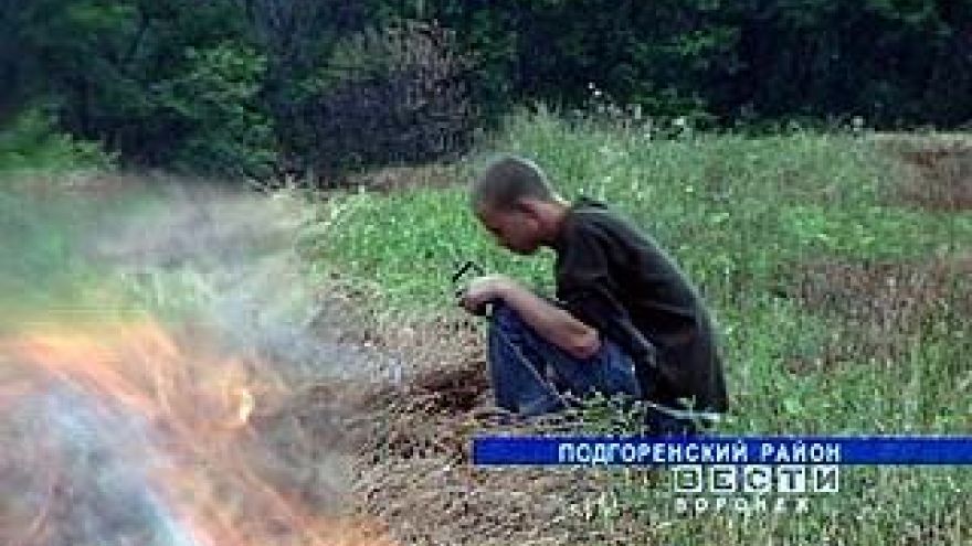 Огонь уничтожает гектары лесов и посевов в Воронежском регионе