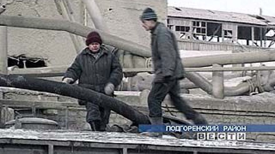 Число профессионально заболевших женщин растет