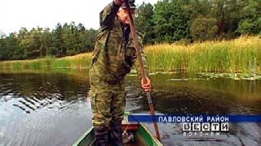 Река Битюг считается самой чистой в Воронежской области