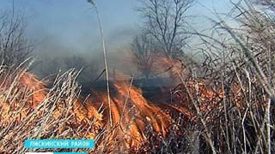 На окраине Лисок горела стерня