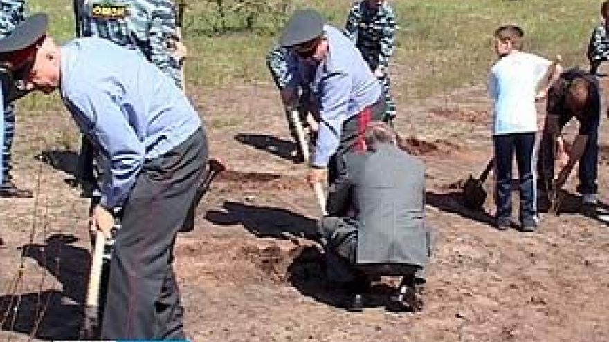 Представители воронежской полиции озеленяли Масловку
