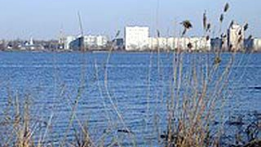 Экологи снова обещают провести очистку Воронежского "моря"