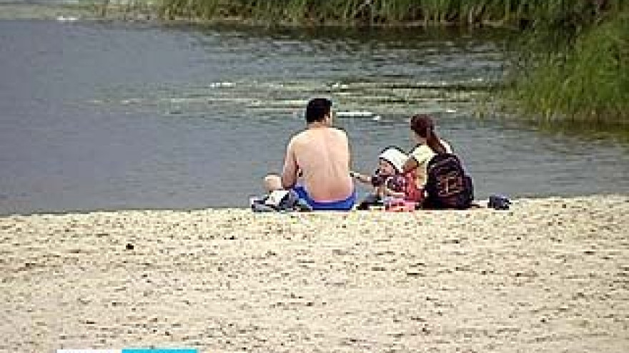Сразу в нескольких водоёмах Воронежа обнаружены культуры холероподобных вибрионов