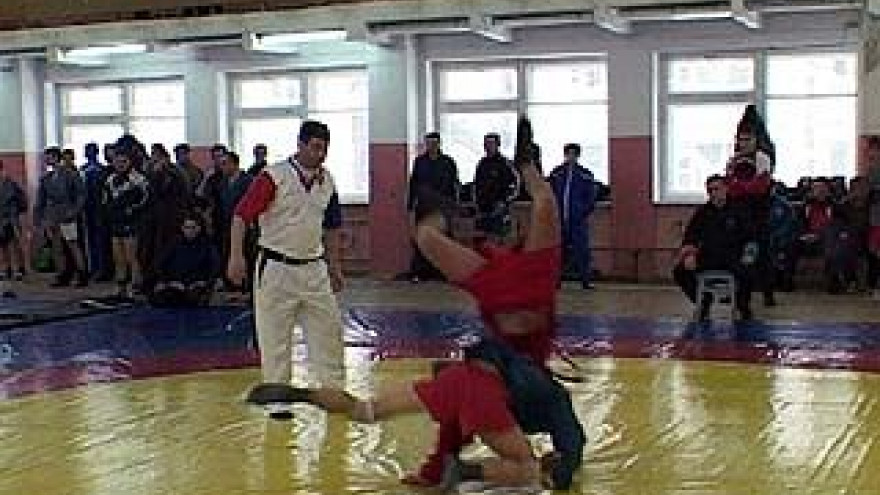 В Воронеже проходит чемпионат по самбо и рукопашному бою