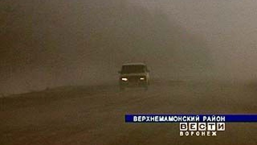 Сразу несколько районов области накрыла плотная завеса тумана