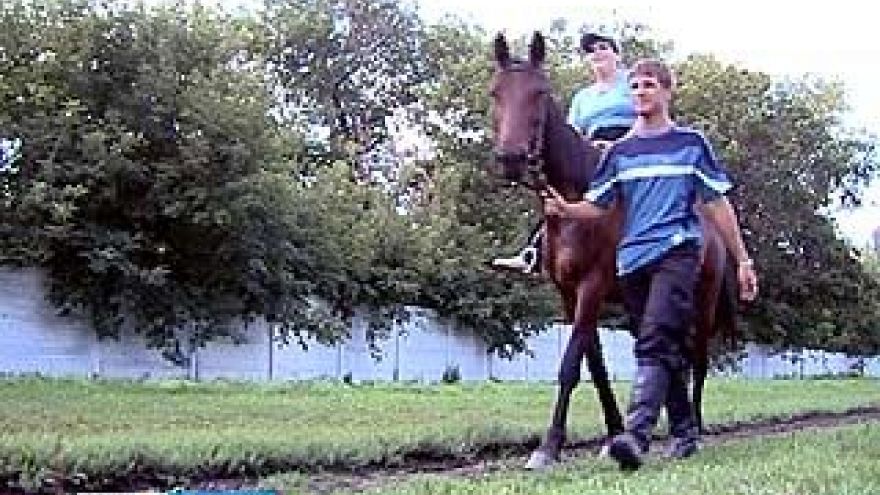 Сеансы иппотерапии больным ДЦП в Воронеже сумел подарить одиннадцатикласник