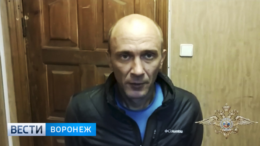 Третьяковка показала, что стало с картиной Репина после нападения на неё воронежца