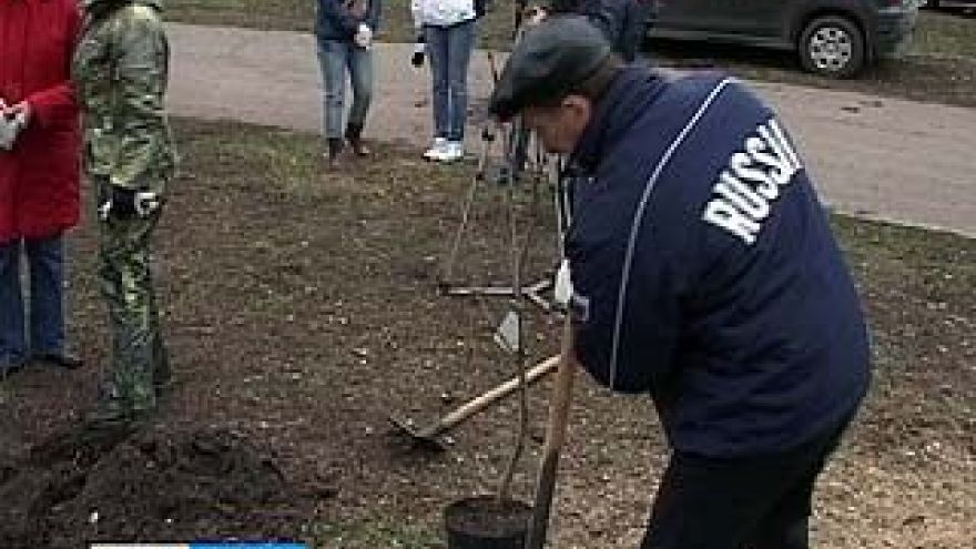 Воронежцы вышли на субботник
