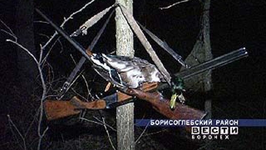 Открыт сезон охоты на водоплавающих пернатых