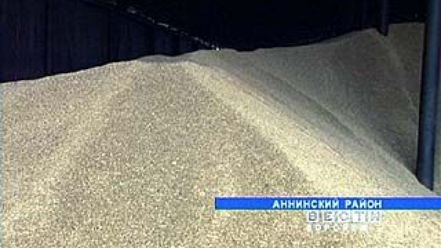 В закромах страны - продовольственная пшеница, а кормового зерна не хватает