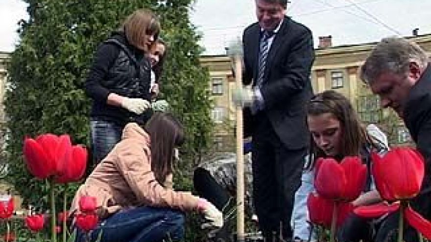На Привокзальной площади посадили розы