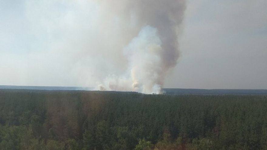 Дым над городом. Как выглядел лесной пожар на Левом берегу на фото воронежцев