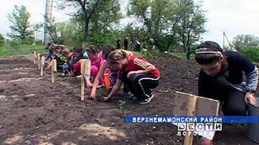 Ольховатские школьники создали Учительский парк