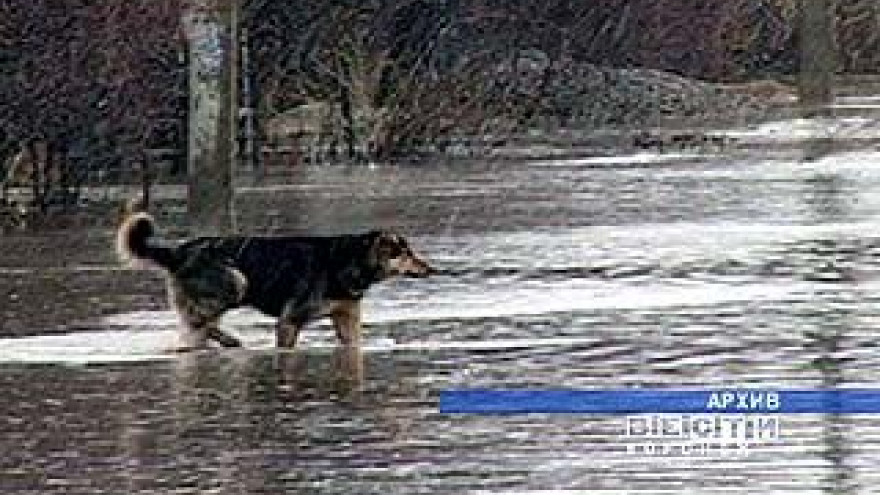 На квадратный метр придётся количество воды, втрое превышающее норму