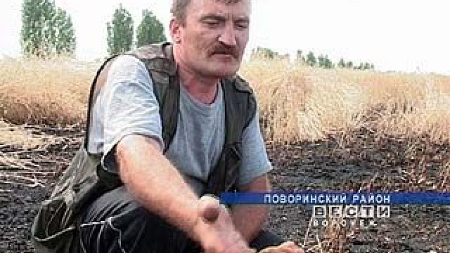 Воронежские крестьяне становятся перестраховщиками
