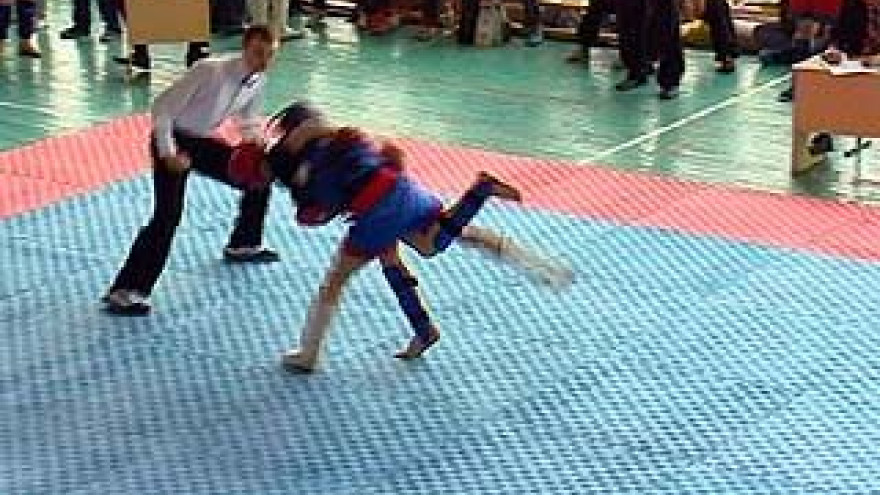 Завершились чемпионат и первенство области по ушу-саньшоу