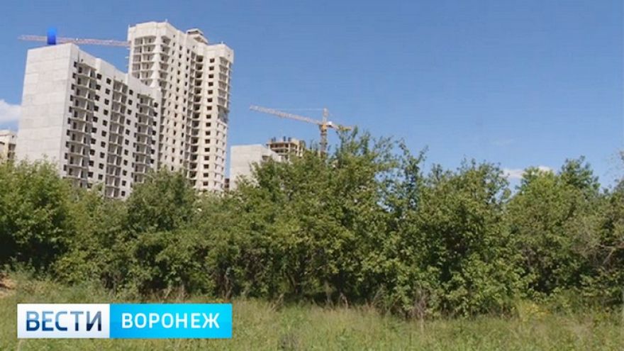Суд вернул государству часть участка земли в яблоневом саду Воронежа
