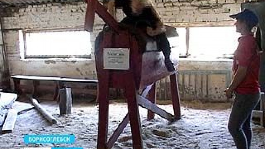 В Борисоглебской конноспортивной школе - пополнение