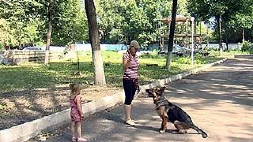 Воронежцы будут выгуливать собак только в специально отведенных местах