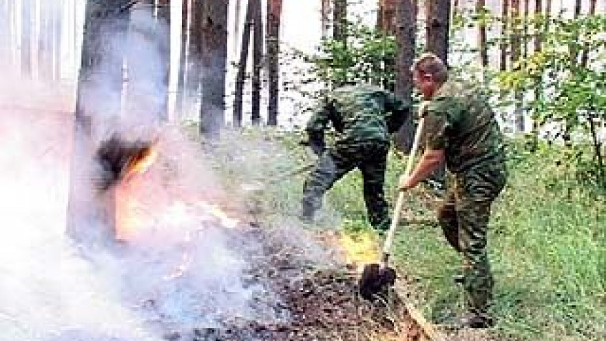 В Воронежской области введён режим чрезвычайной ситуации