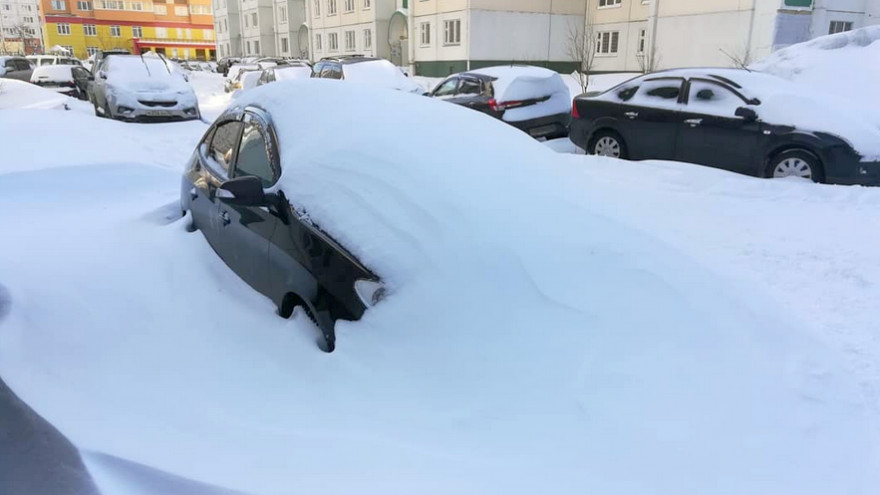 В Воронежской области за двое суток выпала 20-дневная норма осадков