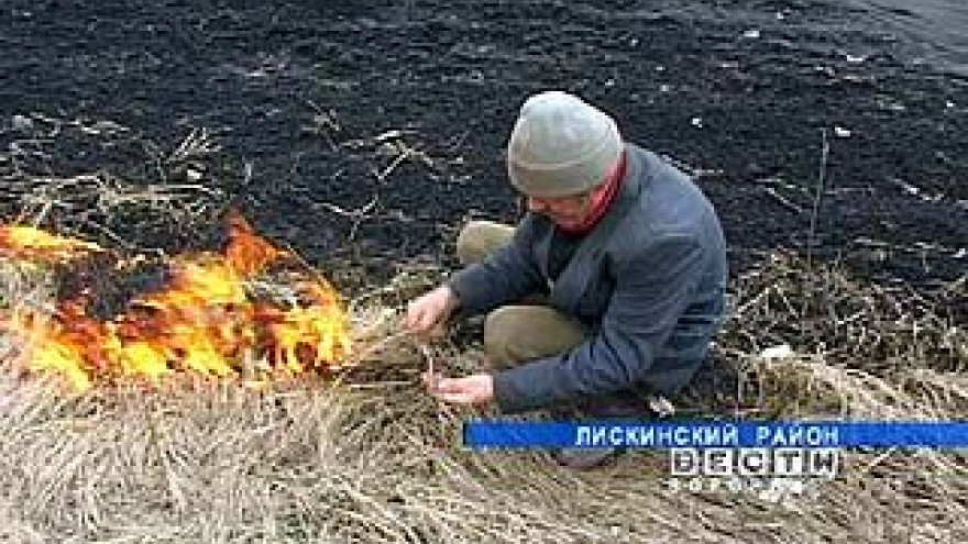 В области отмечена вспышка "весенней пиромании"
