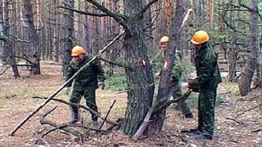 Стартует заключительный этап Всероссийского юниорского конкурса ⌠Подрост■