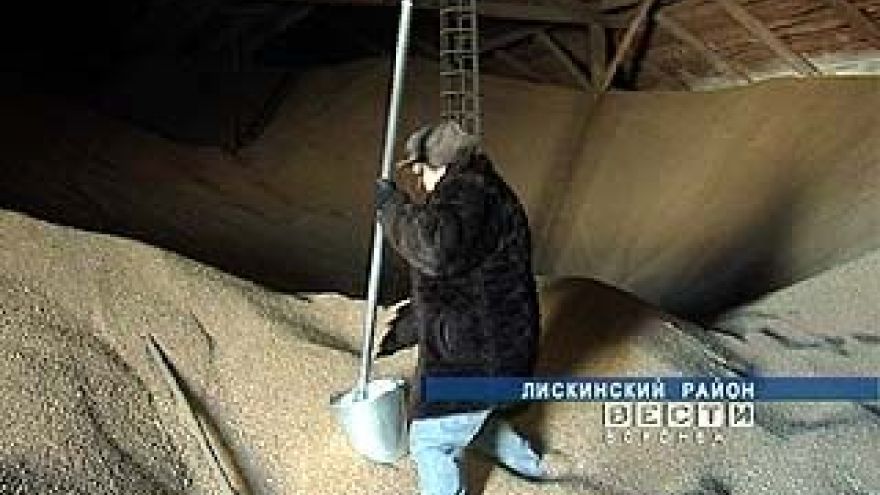 Россельхознадзор проверяет, как хранится зерно в Воронежской области