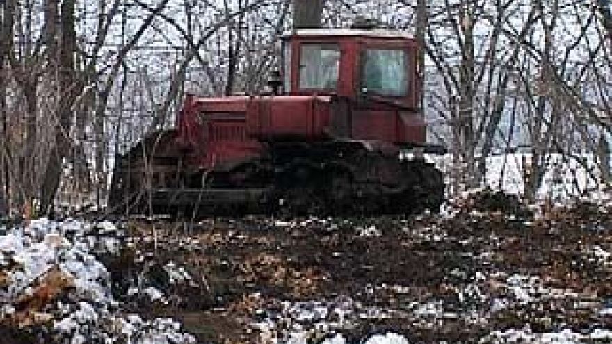 ОАО "ДСК": ясеневая роща пойдет под бульдозер?