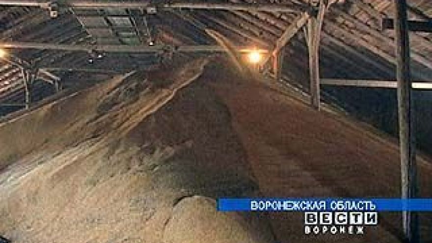 Уборочная кампания Воронежской области "перешагнула экватор"