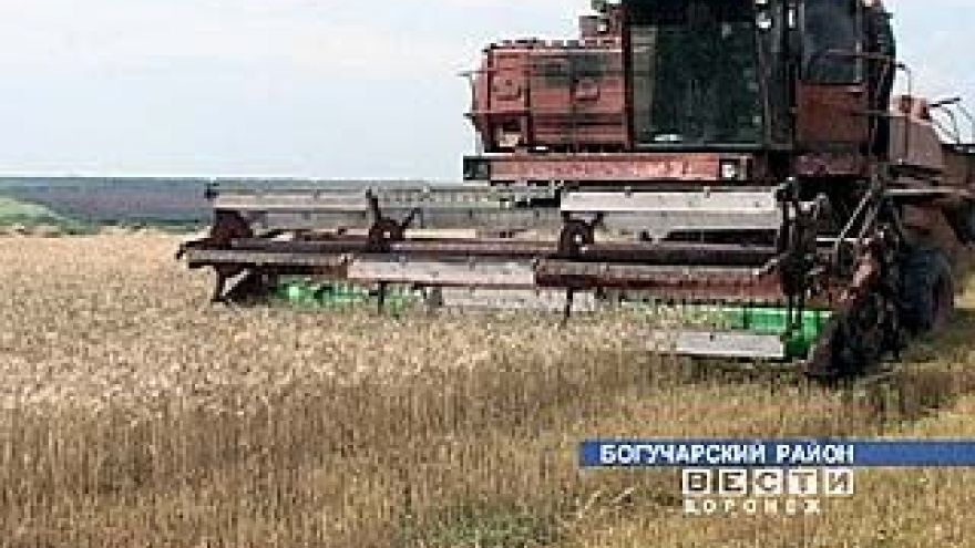 Вслед за уборкой зерновых начинается свекловичная страда