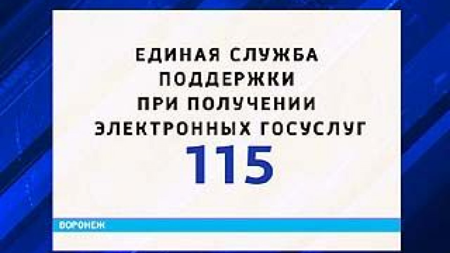 Абоненты нескольких российских мобильных операторов смогут получить техподдержку по работе портала госуслуг
