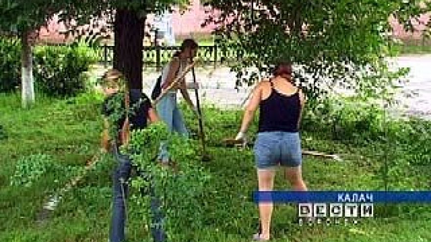 Калачеевские школьники зарабатывают на летних каникулах