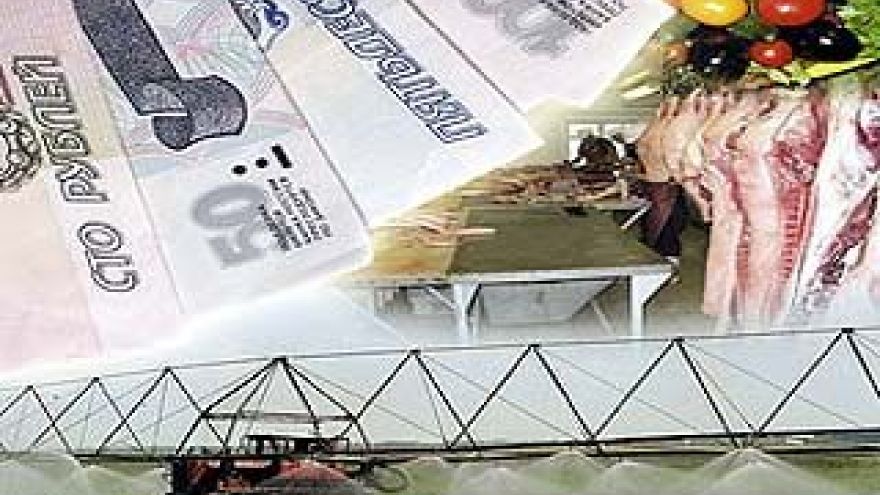 Практически все статьи областного бюджета будут урезаны