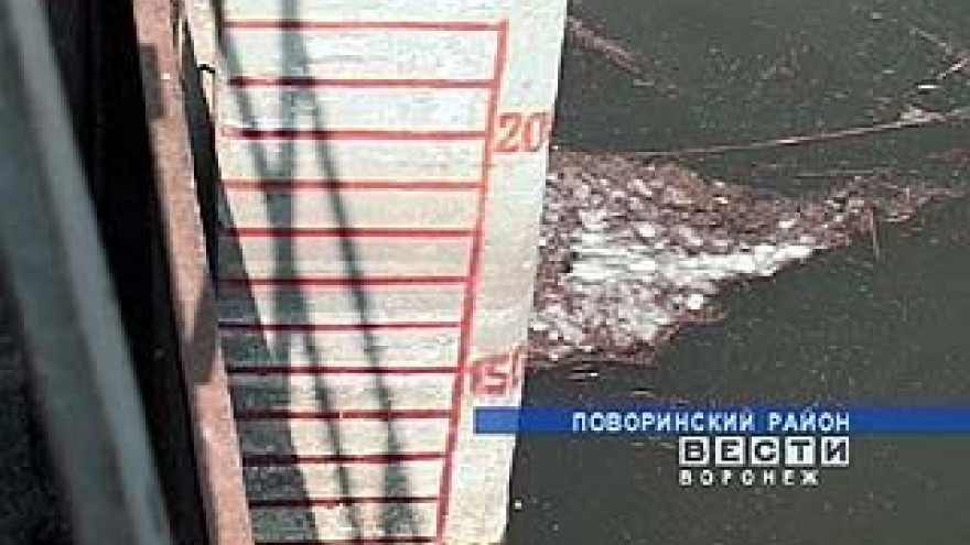 Воронежцы могут остаться без ухи