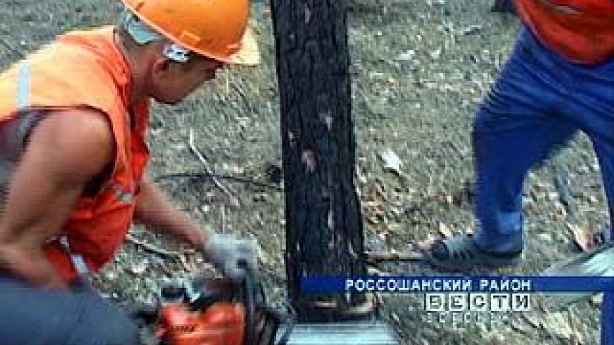 С очисткой леса, сгоревшего в этом году, могут возникнуть проблемы