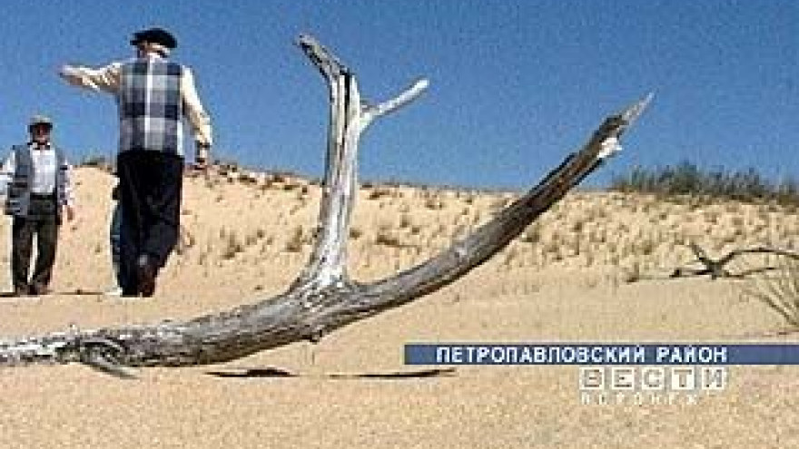 Петропавловскую пустыню называют Донской Сахарой