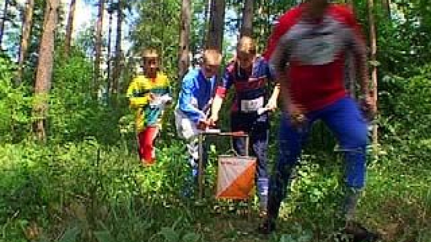 Воронежские ориентировщики пробовали силы на Чемпионате области