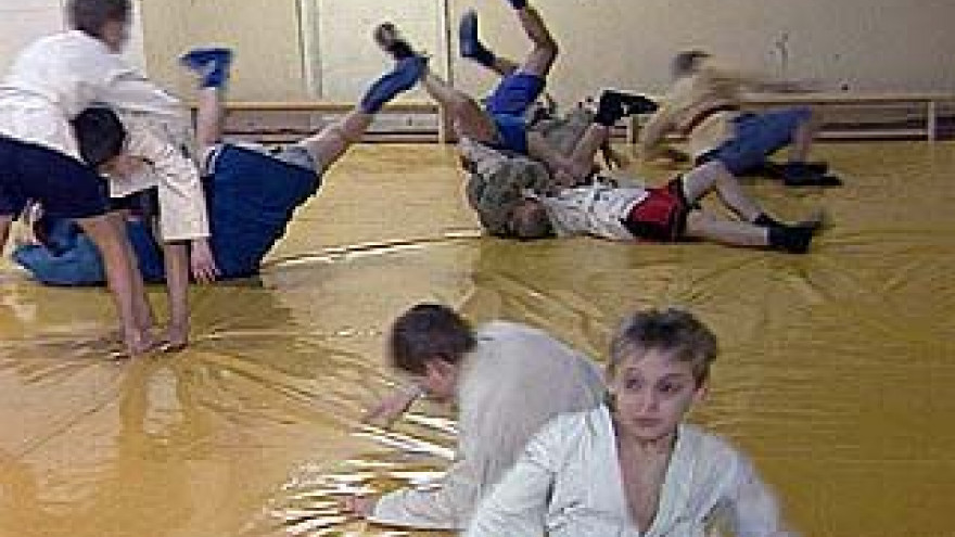 Секция самбо стала спортивной школой