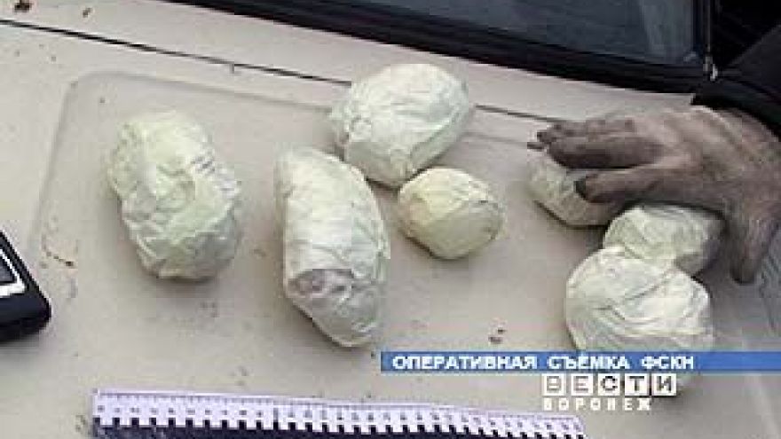 На трассе М-4 "Дон" были задержаны два наркокурьера