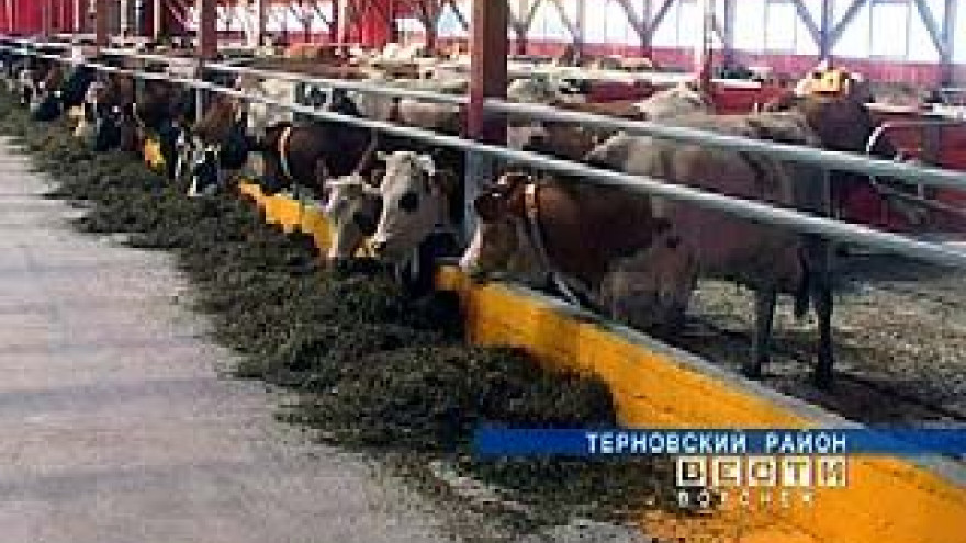 Завершилось строительство молочного комплекса в Терновском районе