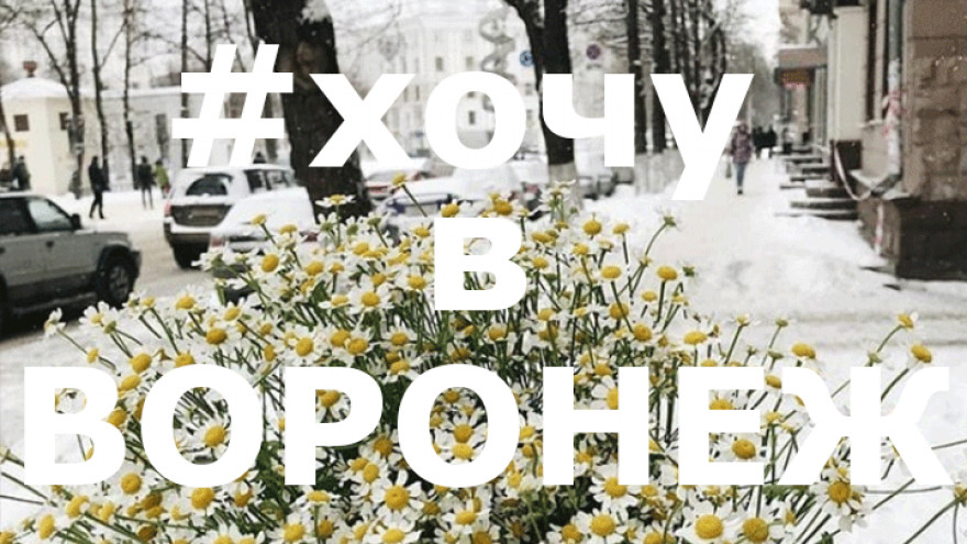 12 лучших фото воронежцев из соцсетей за неделю