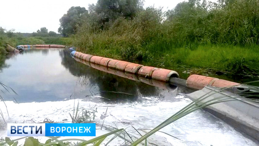 Росприроднадзор нашёл виновных в разливе топлива на Усманке под Воронежем