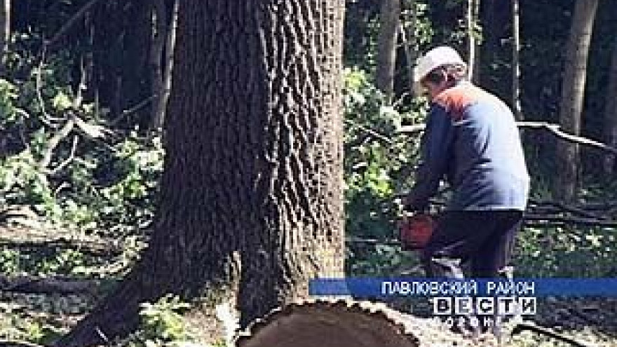 Чиновников Управления лесного хозяйства области призвали к ответу