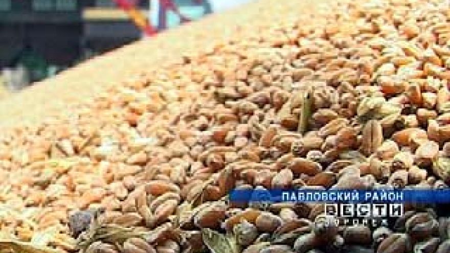 В Воронежской области подводят промежуточные итоги уборочной кампании