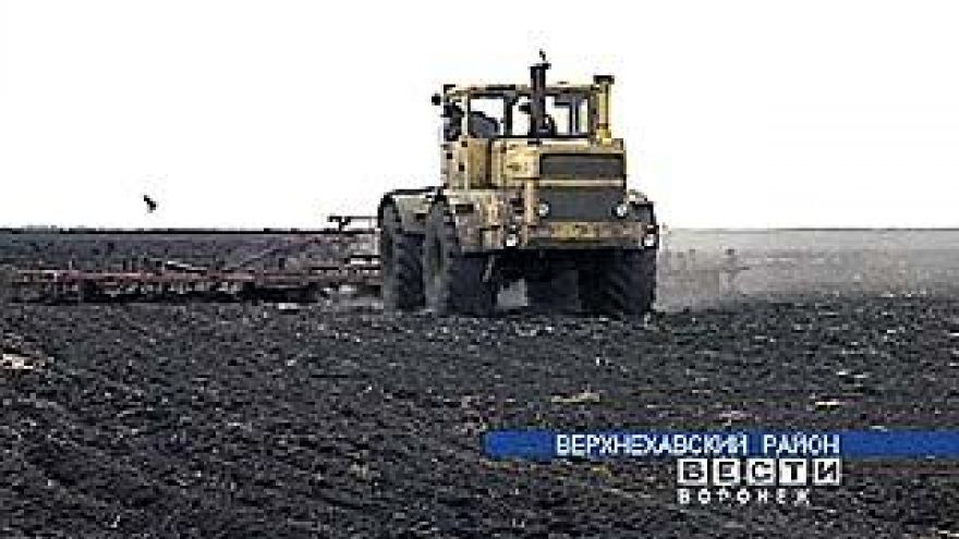 Растениеводы Воронежской области преодолели важный рубеж