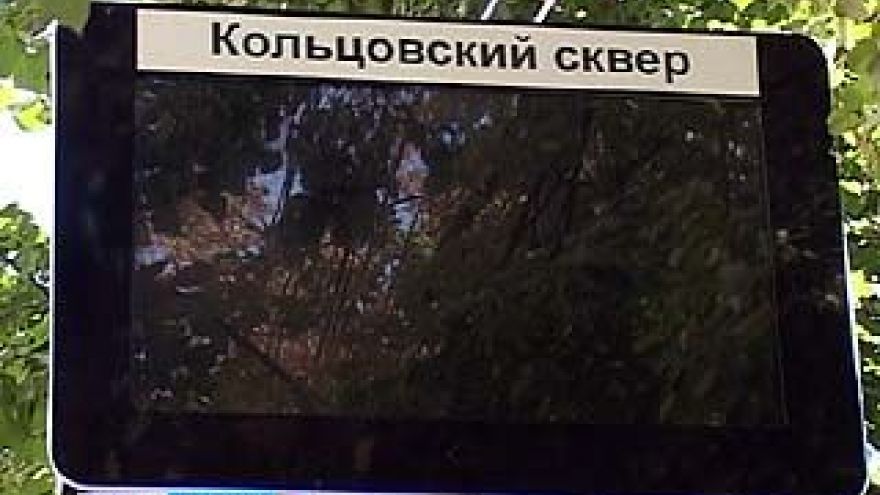 На 20 воронежских остановках ко Дню города появится электронное табло